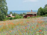 Dalarnas konstförening