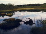 Camping i Dalarna